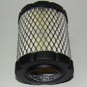 filtr powietrza Briggs Intek Power Bulit