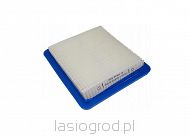 filtr powietrza Briggs Quantum